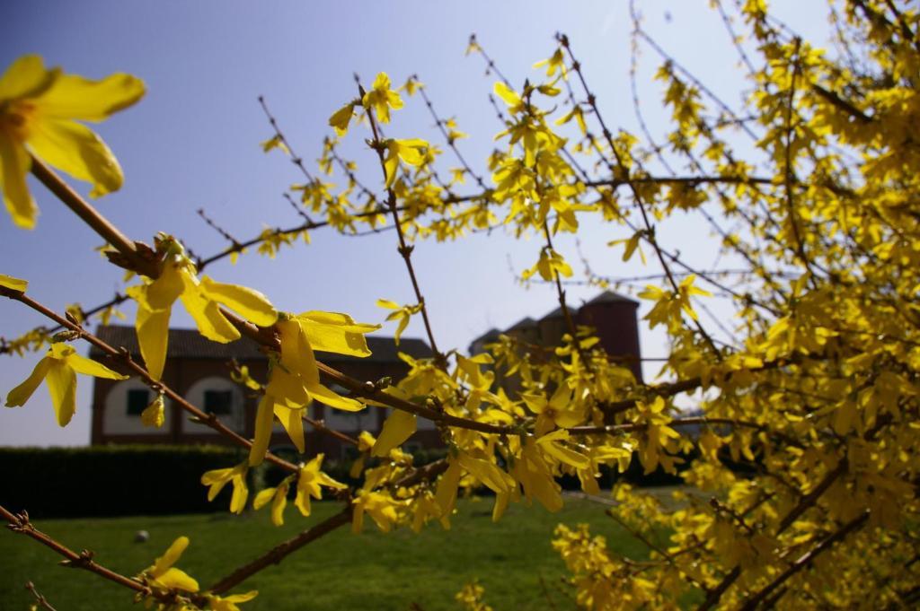 فيلا فالينزافي Agriturismo Cascina Nuova المظهر الخارجي الصورة