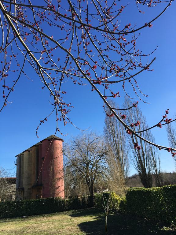فيلا فالينزافي Agriturismo Cascina Nuova المظهر الخارجي الصورة