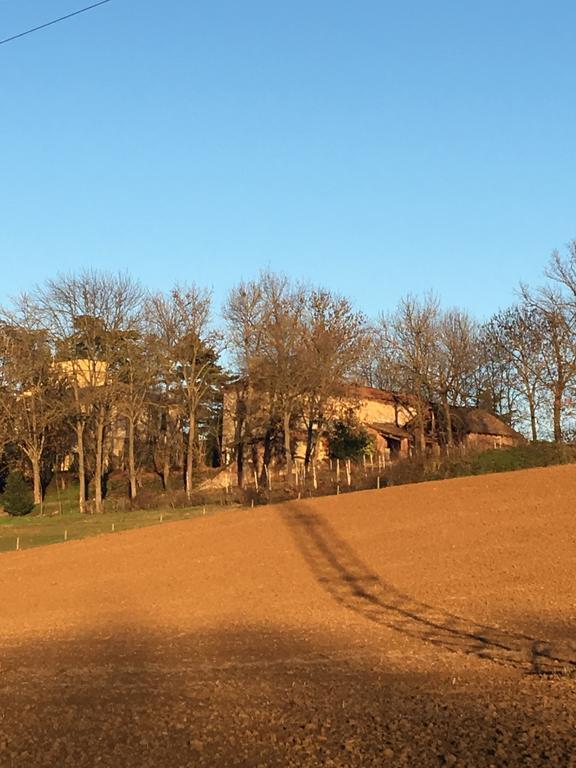 فيلا فالينزافي Agriturismo Cascina Nuova المظهر الخارجي الصورة